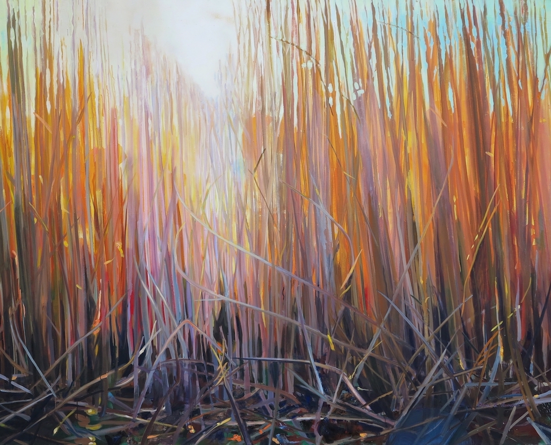Reeds in Glow in January