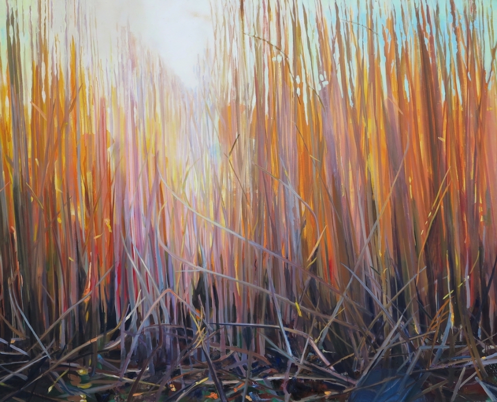 Reeds in Glow in January