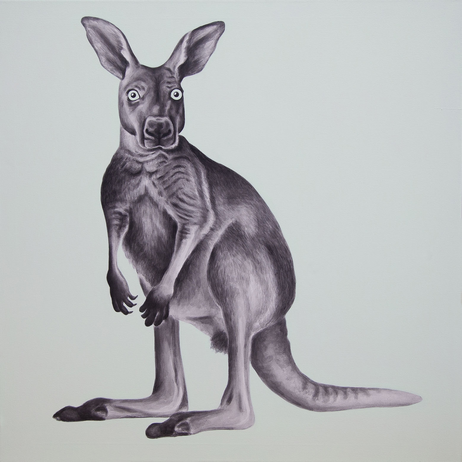 Kangaroo