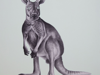 Kangaroo